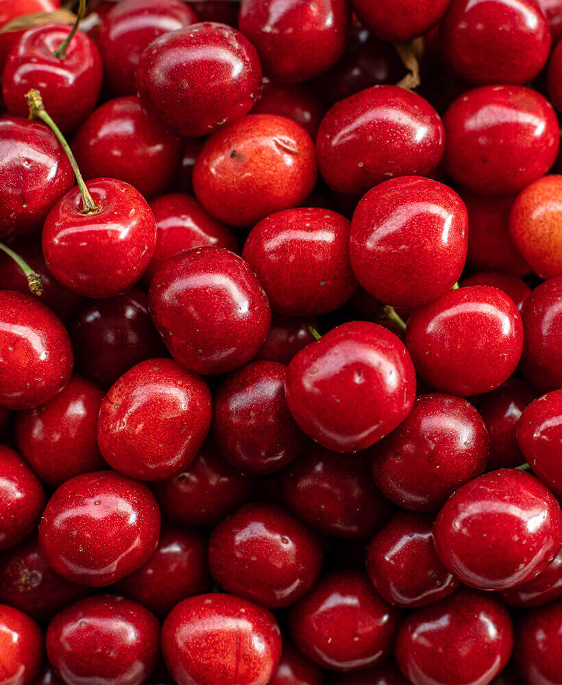 Thermo Frucht Kft. - Zöldség-gyümölcs nagykereskedelem, bércsomagolás és szállítás